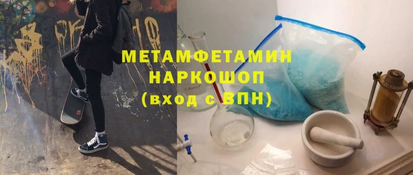 крисы Козельск