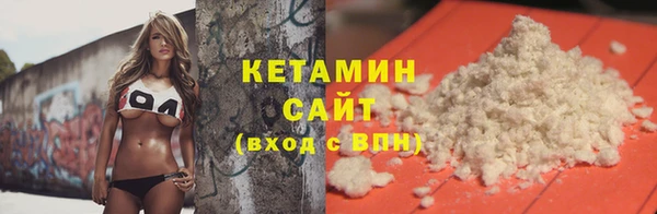 крисы Козельск