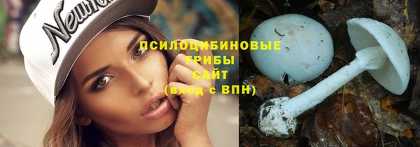 крисы Козельск