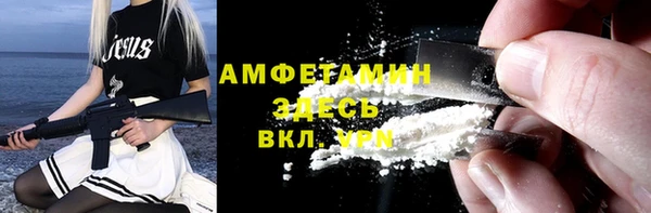 крисы Козельск