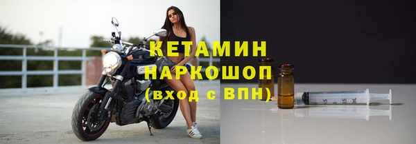 крисы Козельск
