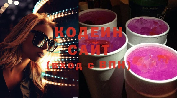 крисы Козельск