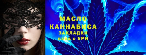 крисы Козельск